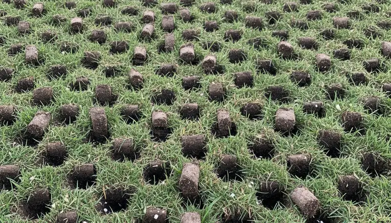 Close-up of soil plug cores after professional lawn aeration on a residential yard in Easton, PA